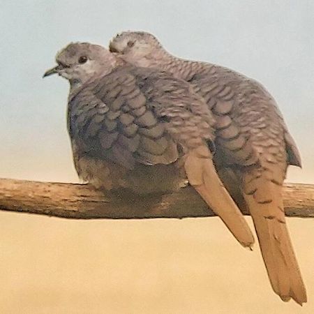 Magica Cabana En Medio Del Bosque En Isla Venado Lepanto المظهر الخارجي الصورة