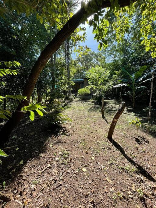 Magica Cabana En Medio Del Bosque En Isla Venado Lepanto المظهر الخارجي الصورة