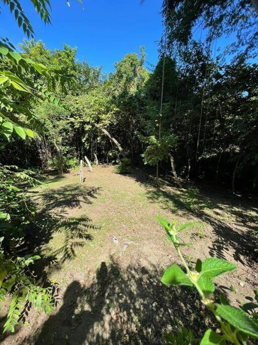 Magica Cabana En Medio Del Bosque En Isla Venado Lepanto المظهر الخارجي الصورة