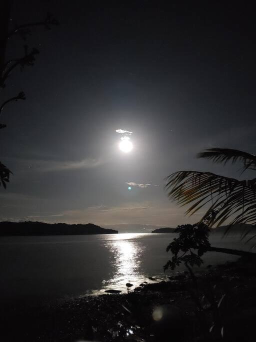 Magica Cabana En Medio Del Bosque En Isla Venado Lepanto المظهر الخارجي الصورة