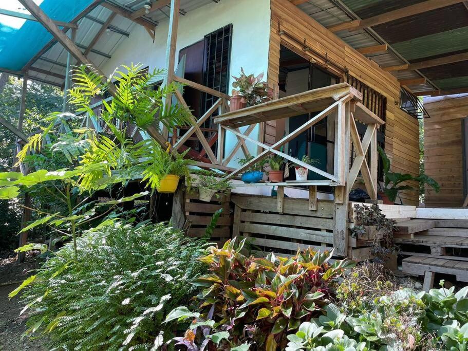 Magica Cabana En Medio Del Bosque En Isla Venado Lepanto المظهر الخارجي الصورة